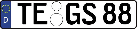 TE-GS88