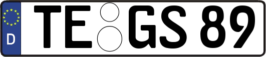 TE-GS89