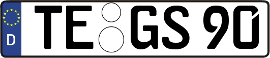 TE-GS90