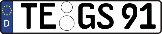 TE-GS91