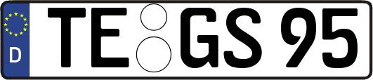 TE-GS95