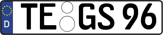 TE-GS96