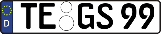 TE-GS99