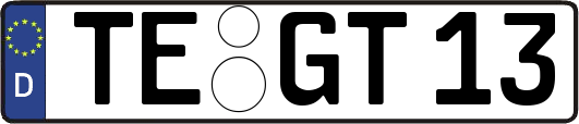 TE-GT13