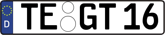 TE-GT16