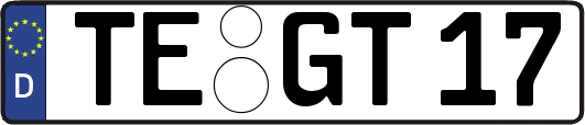 TE-GT17
