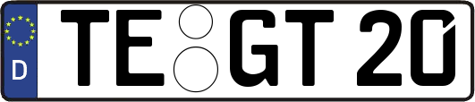 TE-GT20