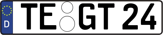 TE-GT24