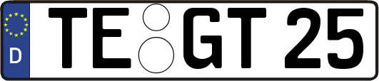 TE-GT25