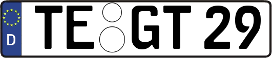 TE-GT29