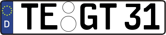 TE-GT31
