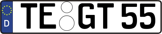 TE-GT55