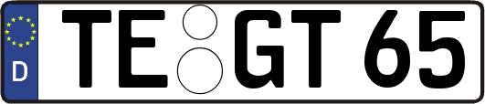 TE-GT65
