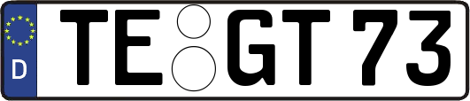 TE-GT73