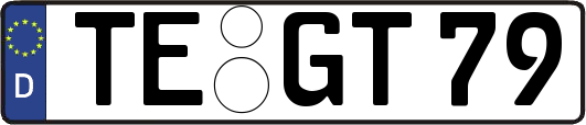 TE-GT79