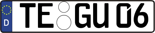 TE-GU06