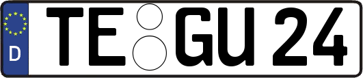 TE-GU24