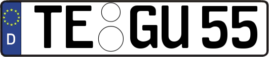 TE-GU55