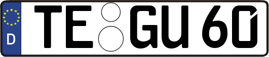 TE-GU60