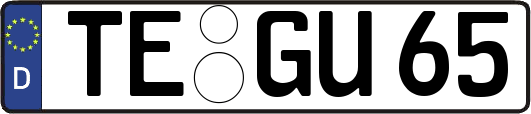 TE-GU65