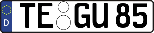 TE-GU85