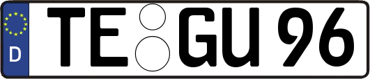 TE-GU96