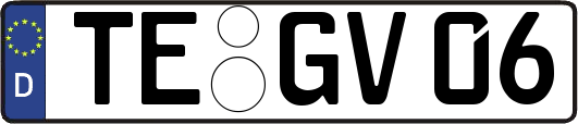 TE-GV06