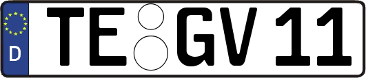 TE-GV11