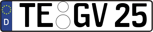 TE-GV25