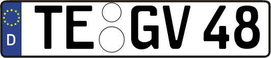 TE-GV48