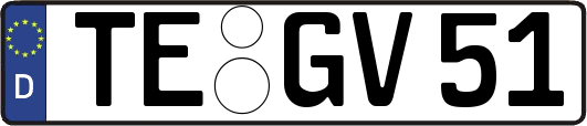 TE-GV51