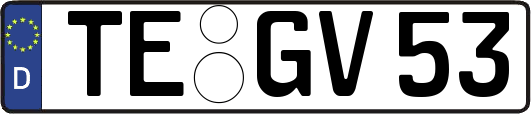 TE-GV53