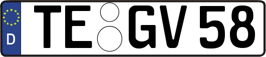 TE-GV58