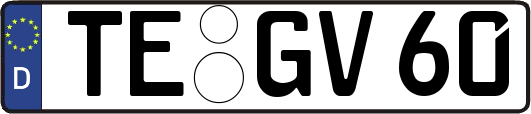 TE-GV60