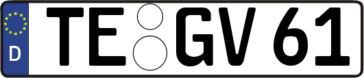 TE-GV61