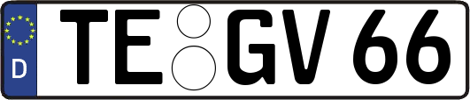 TE-GV66