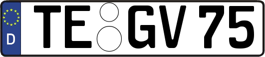 TE-GV75