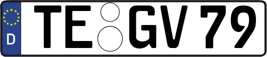 TE-GV79
