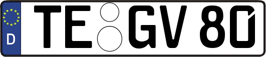 TE-GV80