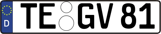 TE-GV81