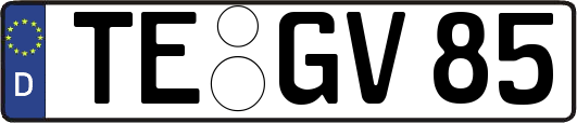 TE-GV85