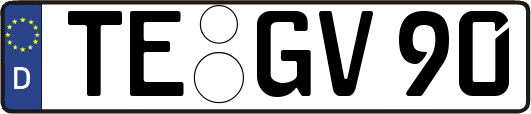 TE-GV90