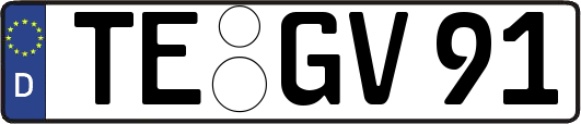 TE-GV91