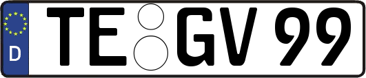TE-GV99