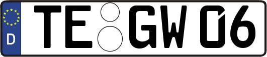 TE-GW06