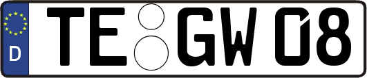 TE-GW08