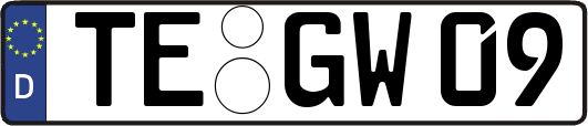 TE-GW09