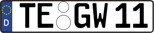 TE-GW11