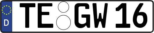TE-GW16