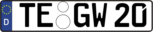 TE-GW20